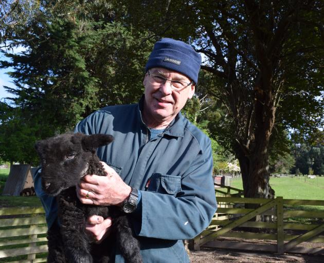 Black and Coloured Sheep Breeders’ Association Silverpeaks branch president Phillip Craigie with...