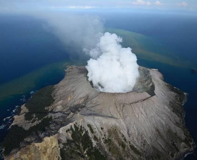 The volcano erupted on December 9. Photo: George Novak via NZ Herald 