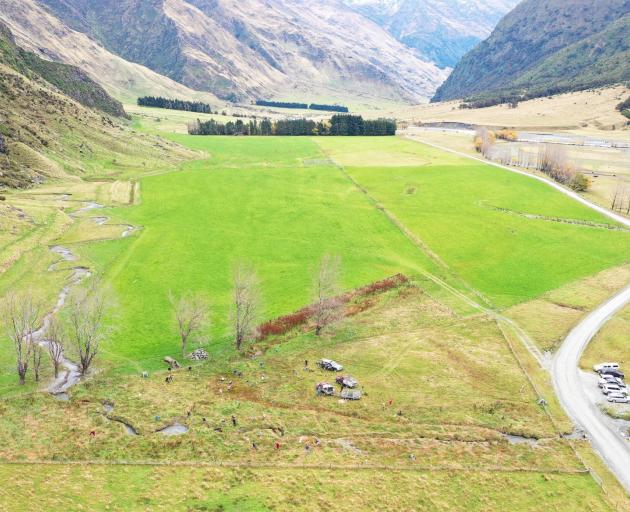 Te Kakano volunteers on Mt Aspiring station planting native trees and shrubs around wetlands near Wishbone Falls in September last year. CHRIS ARBUCKLE ASPIRING ENVIRONMENTAL