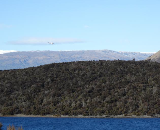 A helicopter searches over Lake Wanaka for the missing helicopter pilot. Photo: Sean Nugent