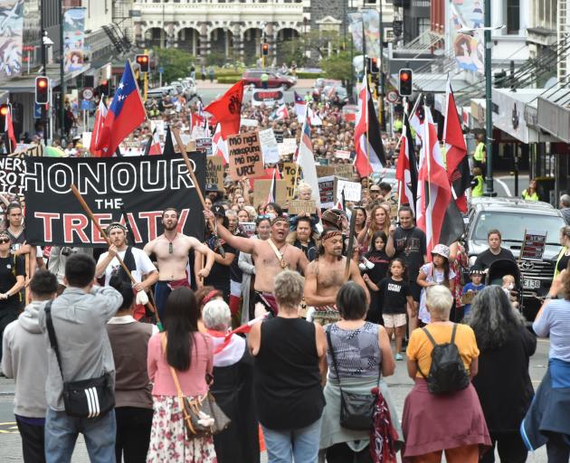 Demonstrators arriving at the Octagon. PHOTO: GREGOR RICHARDSON