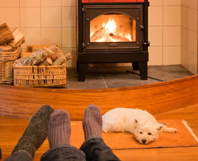 wood burner with dog getty images 