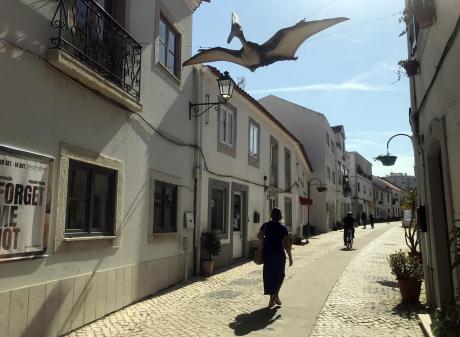A flying lizard takes to the air above Lourinha, Portugal. PHOTOS: GILLIAN VINE