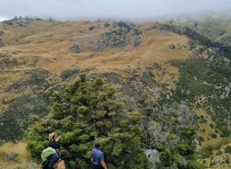 Matakanui Station. PHOTO: OLIVIA CALDWELL