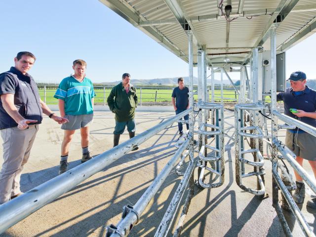 Allflex auto-draft gates