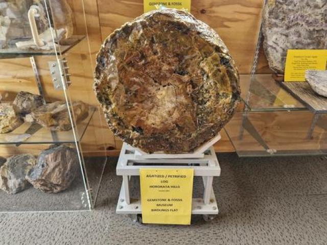 Burke's agatised, or petrified, log is a unique find. Weighing 86kg, it is the focal piece of the...