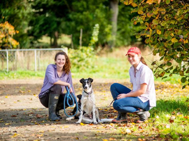 Telford’s agricultural courses include a dog programme where students can bring their working...