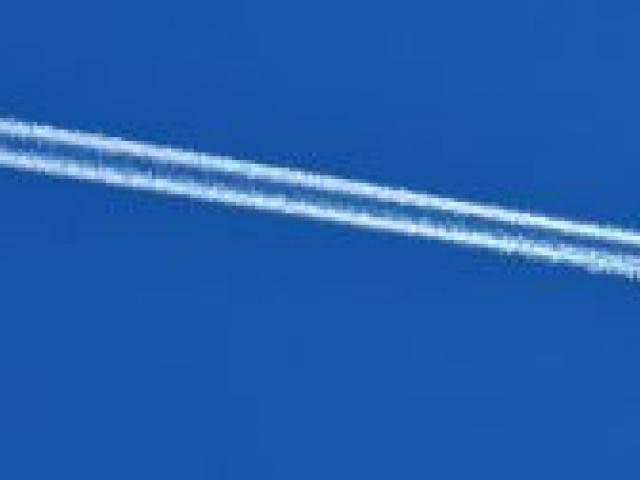 Photo by Stephen Jaquiery