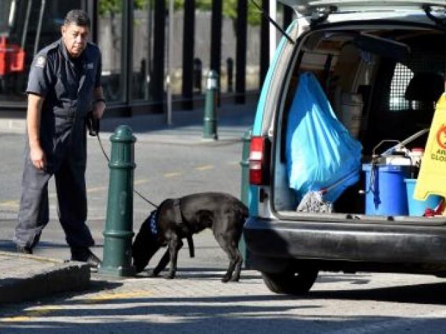 Police and a sniffer dog check the area between Toitu Otago Settlers Museum and the Dunedin Railway Station this morning. The Royal couple will visit the museum this afternoon. Photo Gregor Richardson