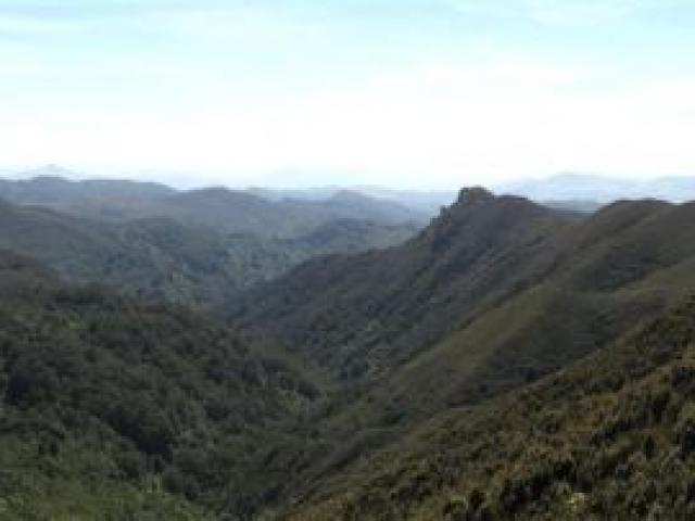 The wilds of the Silver Peaks, just outside Dunedin.