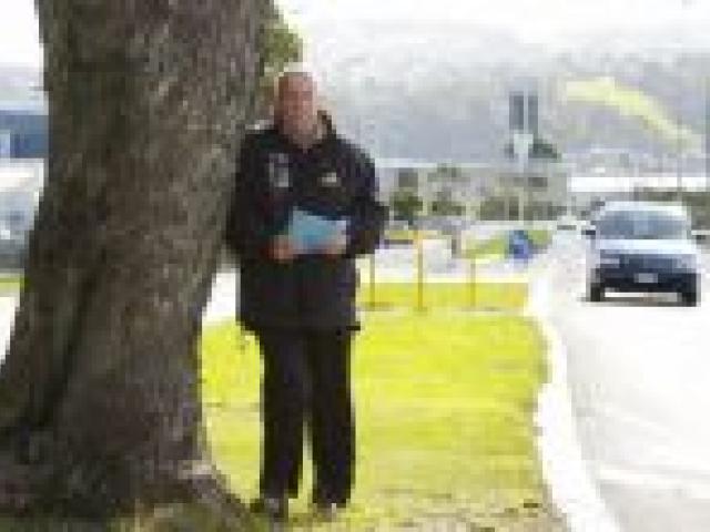 Dunedin south Labour MP David Benson-Pope wants eucalyptis plants planted along Portsmouth Dr.  Photo by Gerard O'Brien