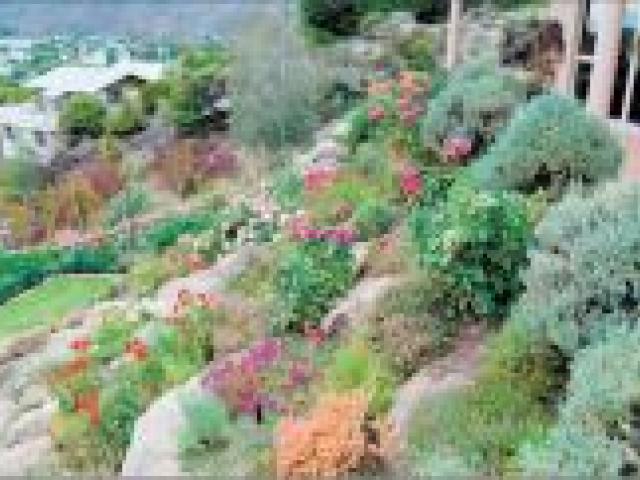 Part of the Campbells water-wise garden. Part of the Campbells water-wise garden.
