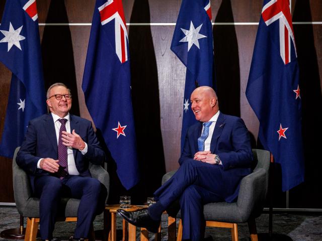 Let’s hear it for the 80-year-olds — a premier gen