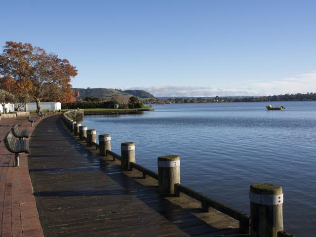 Eruption in Lake Rotorua | Otago Daily Times Online News