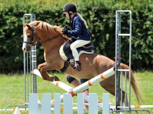 Jessica Greiner of Mosgiel gets her pony Paladin over the 50cm jump at the 2018 Otago Taieri A&P...
