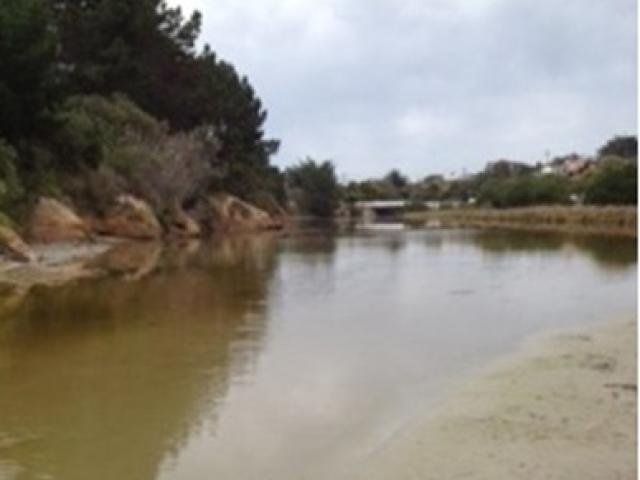 Otokia Creek runs into Brighton Beach. Photo: ORC