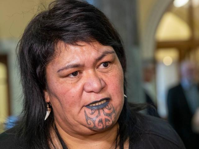 Local Government Minister Nanaia Mahuta. Photo: Mark Mitchell