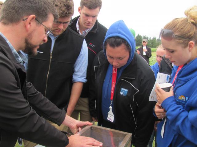 Buzzing away.....David Pattemore (left) of Plant and Food Research, explains a bumble bee nest....