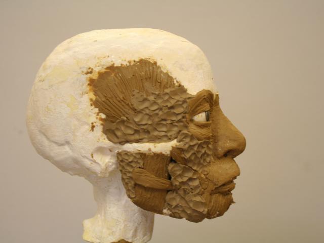 With the eyes in place, the mummy begins to look human. 

