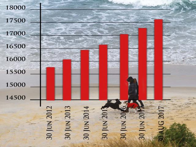 Dog registrations have risen steadily in recent years. GRAPHIC: JOHN COSGROVE 
