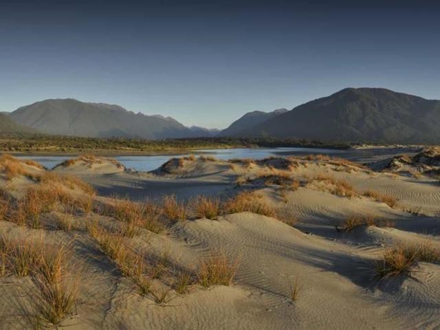 A newly-formed charitable trust will work with the Department of Conservation to restore native...