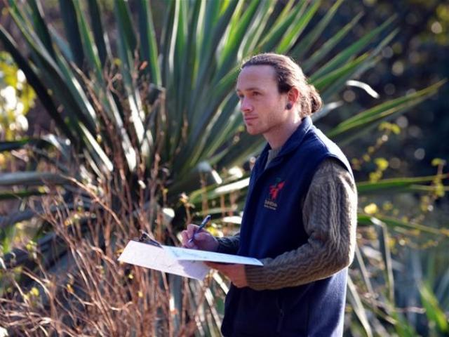 Andrew Dodds plans a garden bed at Dunedin Botanic Garden. Photo by Peter McIntosh