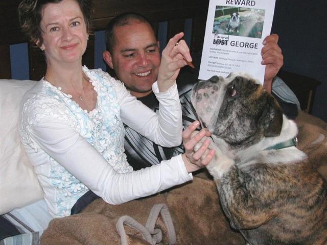 English bulldog George  gives Mellissa Teneti  a paw-shake in bed where he sleeps with her and...
