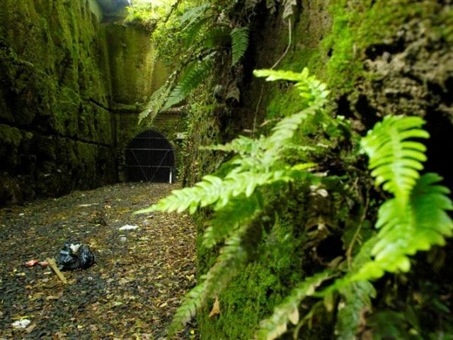 The former Caversham railway tunnel. Photo by Gerard O'Brien.