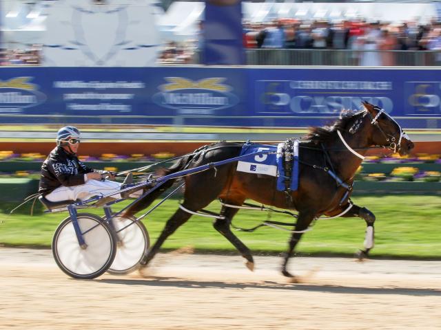 Mark Purdon driving Lazarus wins the New Zealand Trotting Cup at Addington Raceway in...