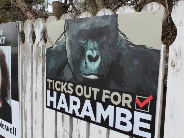 A bogus ‘‘Ticks out for Harambe’’ hoarding, in Queens Dr, Invercargill, which appeared during...