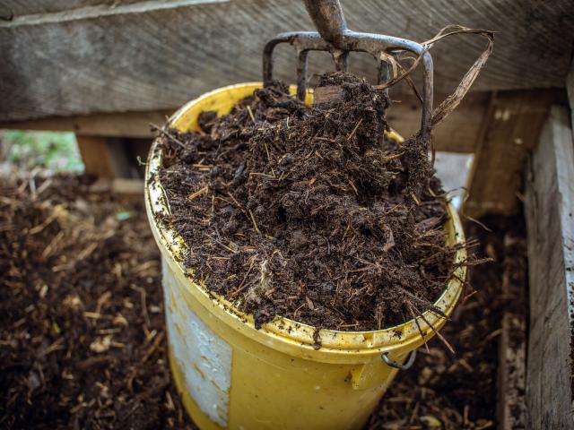 The key to making compost is to balance the nitrogen and carbon ingredients. 