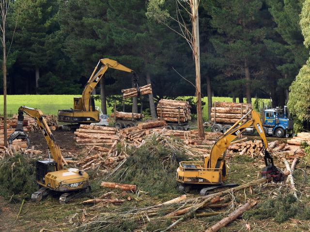 Heavy machinery makes light work of processing logs on Traquair. 