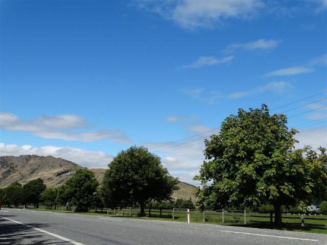 Ladies Mile, near Queenstown. Photo Tracey Roxburgh