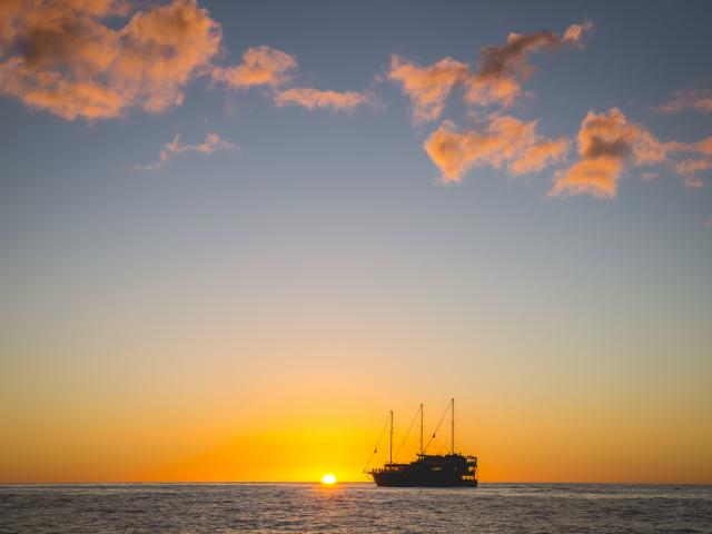 Real Journeys' Milford Mariner. Photo: supplied.