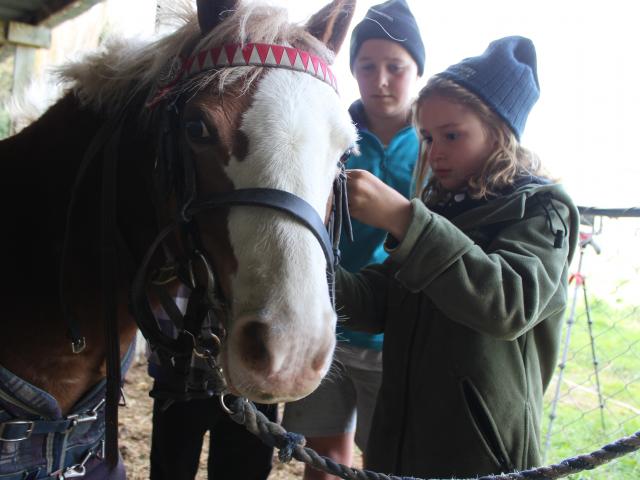  Everglades inspects what's going on as Natalie Russell (8) front, and Charlotte Strachan (11) do...