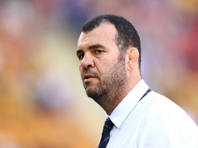 Michael Cheika. Photo: Getty Images