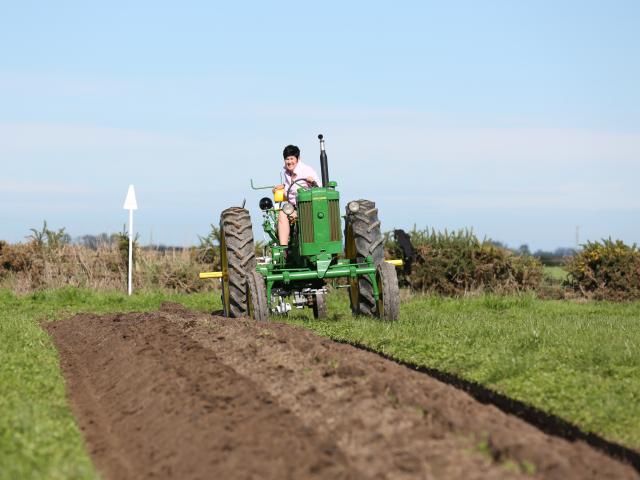 Linda Cosgrove, of Blenheim, perfects her skills for the NZ Vintage Ploughing Championships.      PHOTOS: NORM STYLES