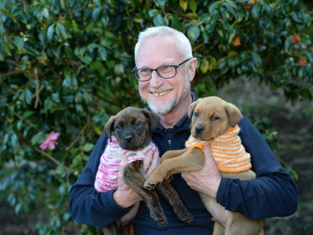 Bella (left) and Bentley, staffie cross puppies aged 10 weeks, show their appreciation to Jeff...