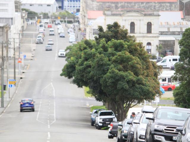 The Waitaki District Council has put plans to remove nine trees at the edge of Oamaru Harbour in...