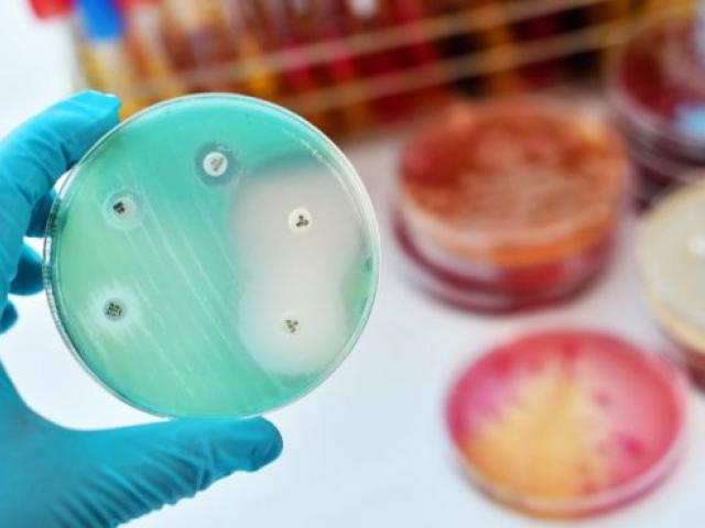 Multi-drug resistant organisms have created a global concern. Now they have been confirmed in...