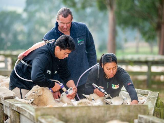 Students Redginald Reihana and Mihiora Waipouri drenching under the guidence of tutor Allan Roxbuugh