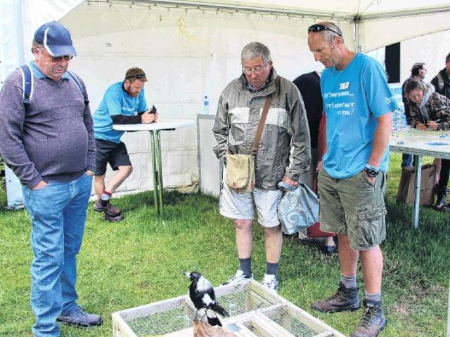 Shared site . . . Visitors at a previous Field Days event talk to staff at Environment Southland...