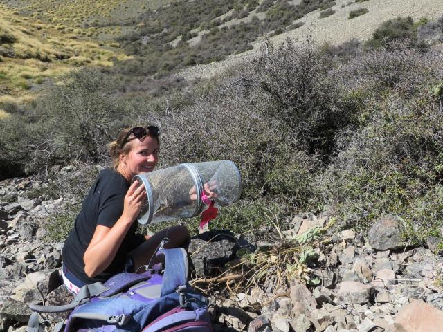 A funnel trap. Photo: Endangered Species Foundation