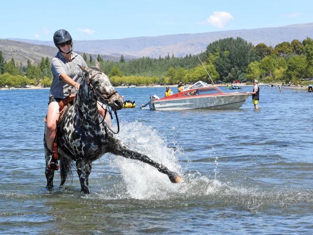 Riding Micah in Lake Dunstan is Jess Murphy, of Waikouaiti.PHOTO: STEPHEN JAQUIERY