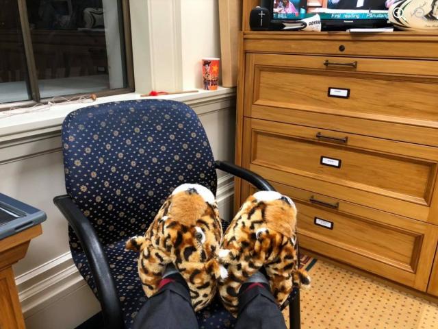 Michael Woodhouse’s fluffy slippers.  PHOTO: FACEBOOK