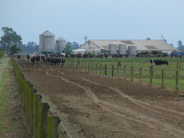 Mid Canterbury’s Align Group isn’t worried about challenging the status quo in its drive to build...