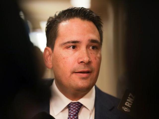 National leader Simon Bridges. Photo: RNZ 