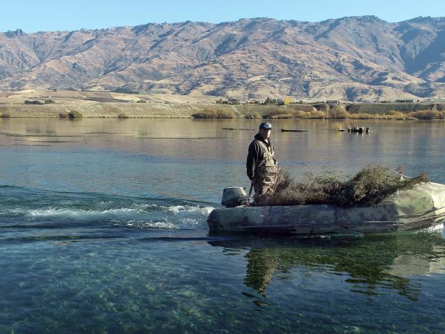 Otago Fish &amp; Game councillor Blair Trevathan putters his boat, which he shoots from, across...