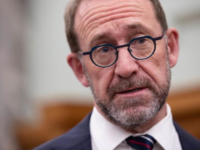 Andrew Little. Photo: RNZ / Angus Dreaver