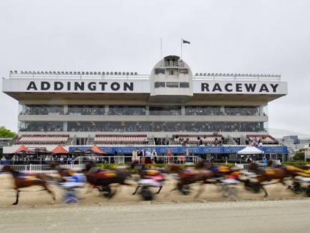 Operation Inca was a 17-month investigation following harness racing drivers to race meetings....